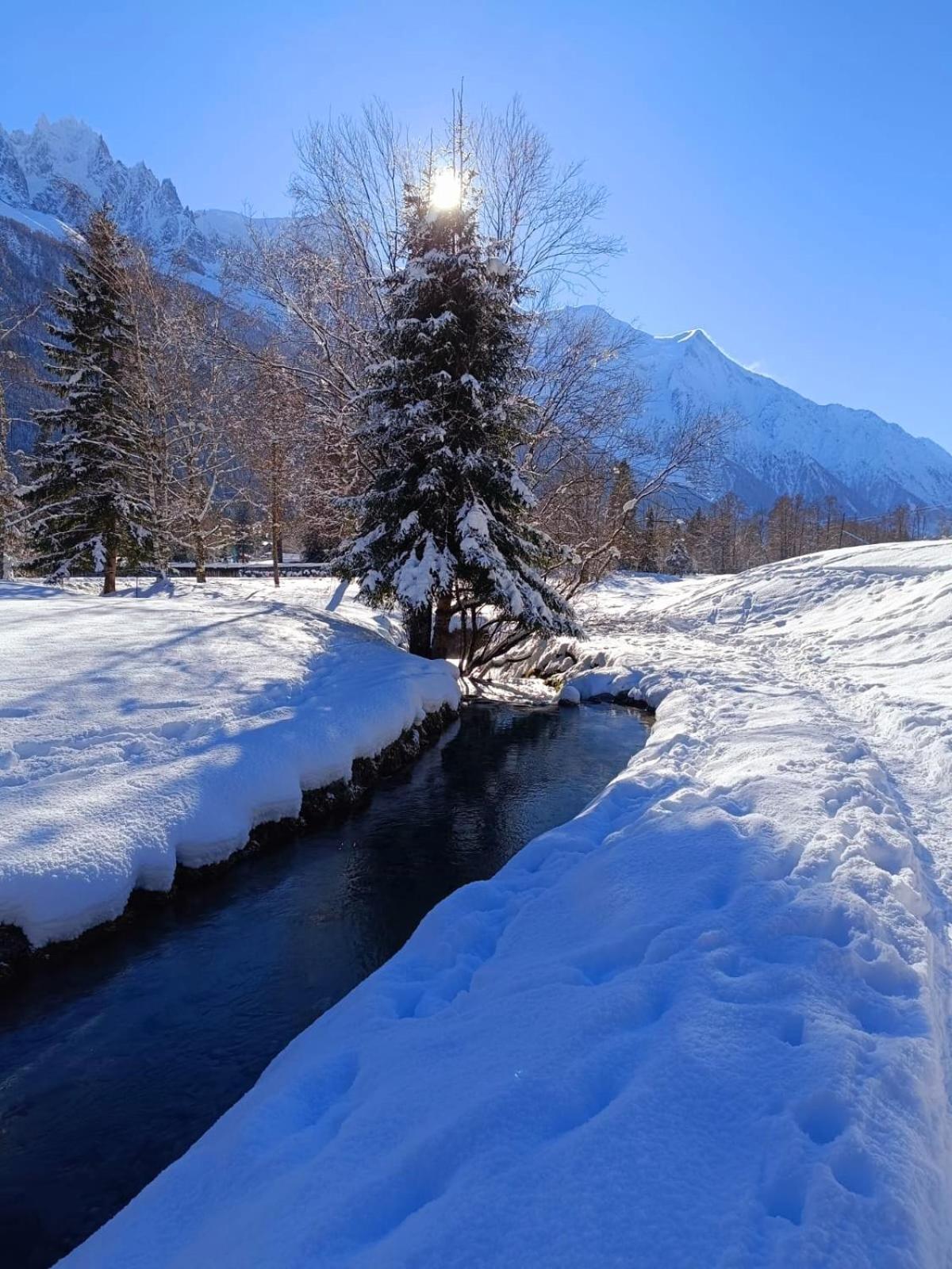Appartement Chamonix Montblanc 1 A 4 Personnes Exteriér fotografie